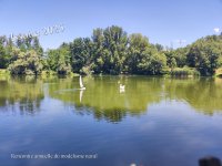 Issoire Plan d'eau Mas 08.jpg